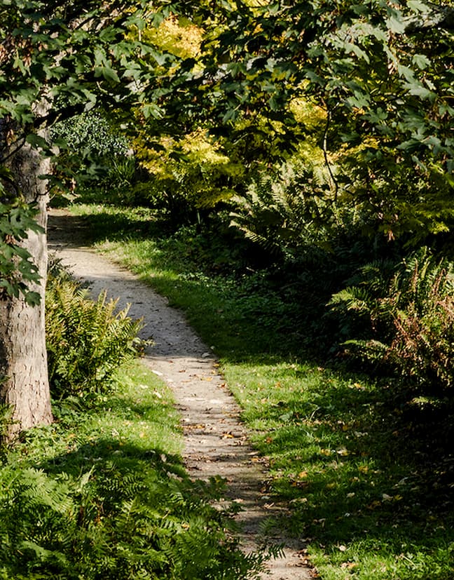 Westerpark